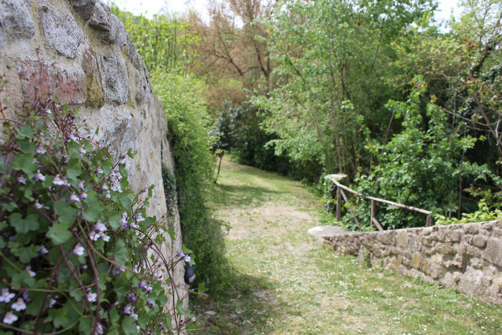 Badia Il Vingone Guest House Citta di Castello Luaran gambar